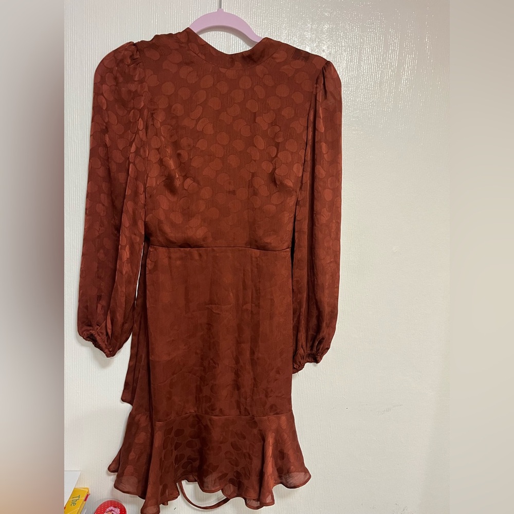 Chic Long Sleeve Rust Dress